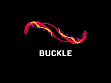 buckle buckle.com domainplace domain place .place place domainplace.com