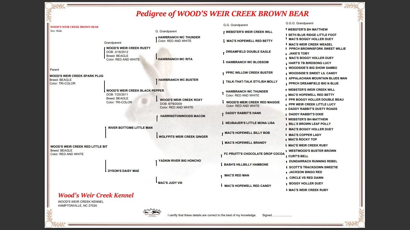 Weir creek beagles for sale weircreek pedigree