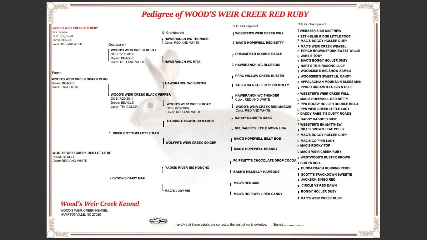 beagle pedigree weir creek red ruby
