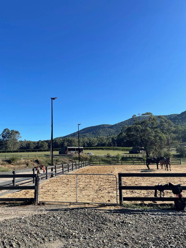 Rural Farm Arena Lighting