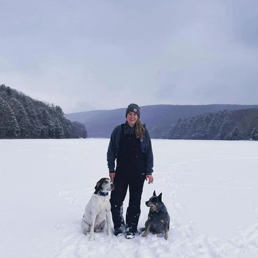 Hearts for Hounds dog boarding, dog walks, dog care