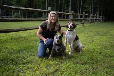 Hearts for Hounds dog boarding, dog walks, dog care