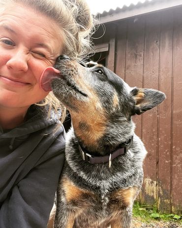 kennel free in-home dog boarding, dog walks, dog care