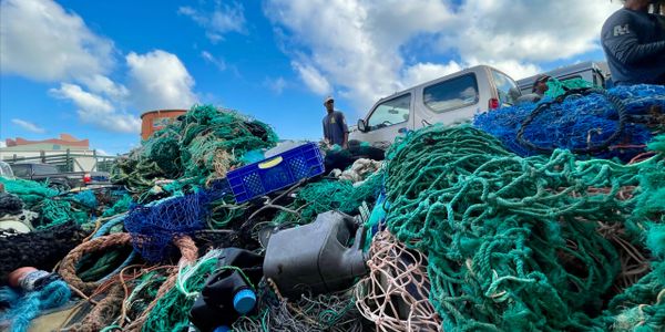 Cleanup in the shallows around Salt Island and Ginger Island.