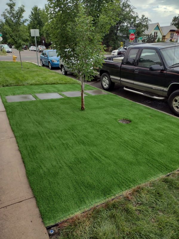 Sod with Gray concrete steps