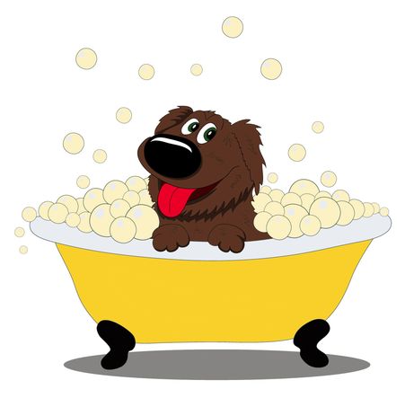 Dog in bubble bath