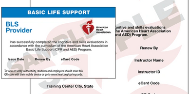American Heart Association eCard sample for CPR, BLS, and First Aid course completion