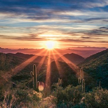 Sunset over a desert landscape with cacti and mountains.
