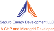    SEGURO ENERGY 
DEVELOPMENT LLC 