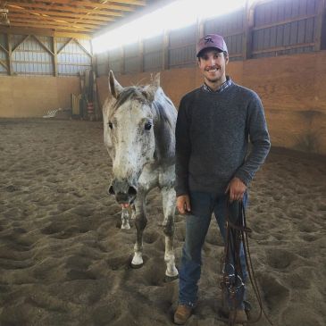 Man standing indoors with a white horse.