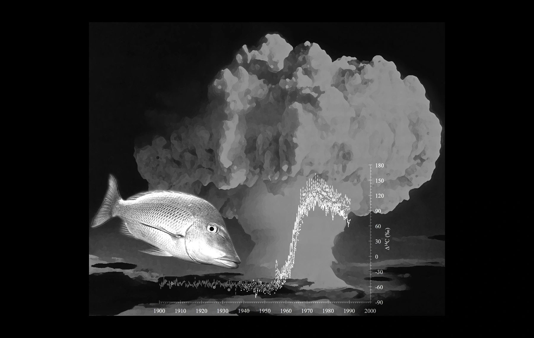 Atmospheric testing of thermonuclear devices led to a time-specific signal in the marine environment