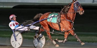 Standardbread Pacer