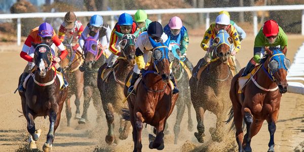 Thoroughbred Horse Racing