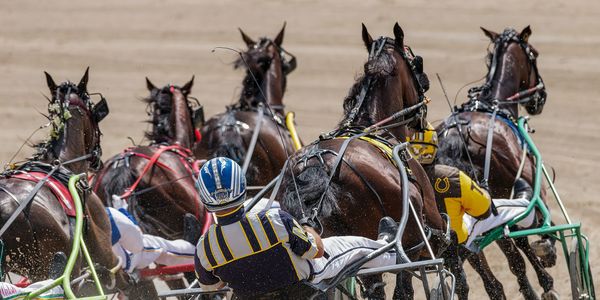 Standardbred Horse Racing