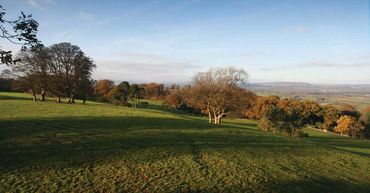 A Natural burial ground