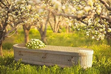 Eco friendly wicker coffin