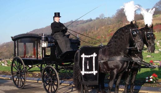A Horse Drawn Hearse with a pair of black horses