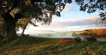 A Natural burial ground