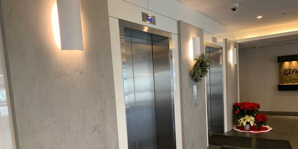 White lobby with elevators and plants