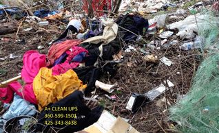 Garbage Cleanup Bellingham
Garbage Cleanup Blaine
Garbage Cleanup Maple Falls
Skagit Garbage Cleanup