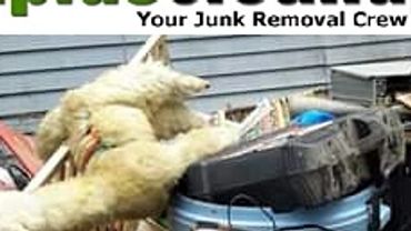 Junk removal Bellingham, Bellingham Junk Removal, Trash Removal Bellingham, Garbage Removal Bellingh