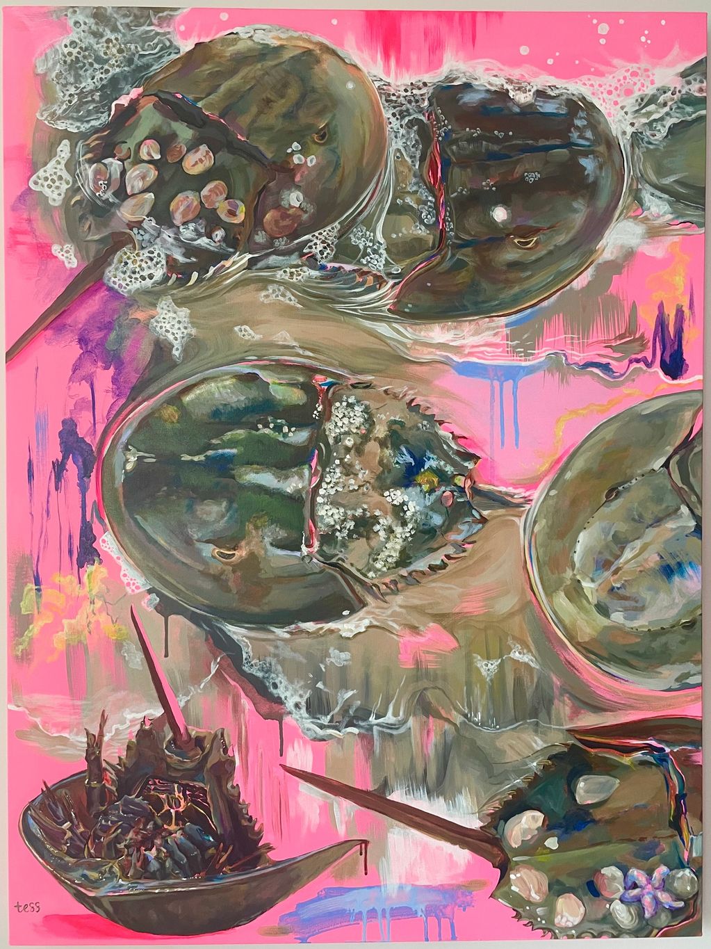 Colorful painting of horseshoe crabs on a vibrant pink background.