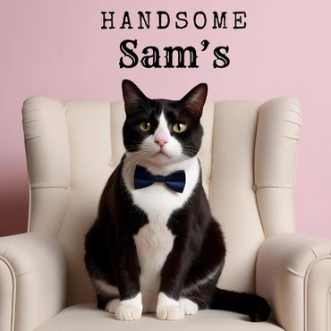 handsome sam logo, a black cat
