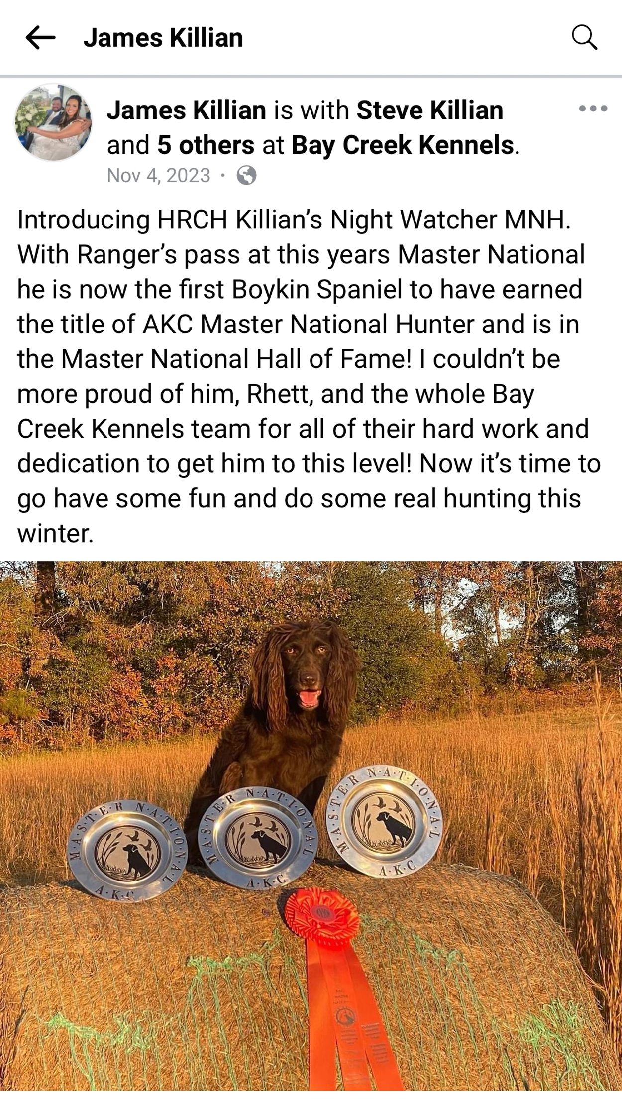 Boykin Spaniel,  Layla Sire(Ranger's Layla)