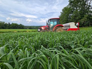 Plant Right Drill Planting Soybeans in tall Cover Crop