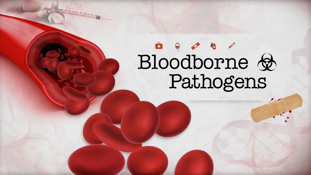 Bloodborne Pathogens training. Prevent exposure to blood and bodily fluids.