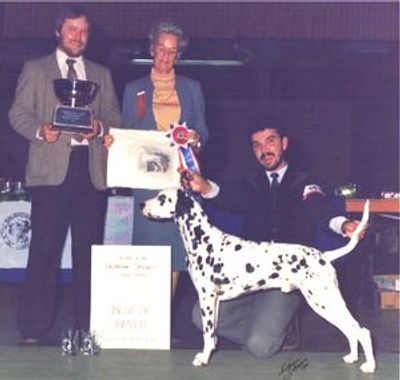 Tsar won the Dalmatian Club of Canada National Specialty in 1980. Pictured Left to Right: Alfred Kay