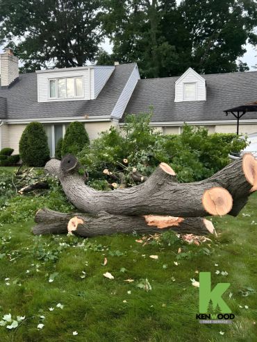 Kenwood Tree Service residential lawn care and tree maintenance job site in New Jersey