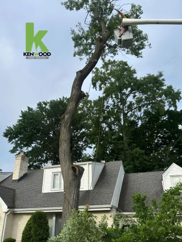 Kenwood Tree Service bucket truck performing high-reach tree trimming near residential home in New J
