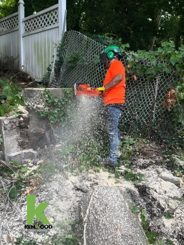 Kenwood Tree Service specialist inspecting tree stump removal site in New Jersey