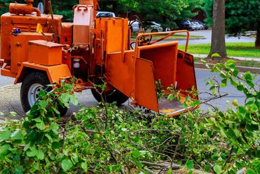 Kenwood Tree Service commercial wood chipper processing tree branches into truck in New Jersey