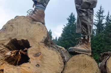 Kenwood Tree Service arborist with heavy-duty safety boots inspecting a tree removal log in New Jers
