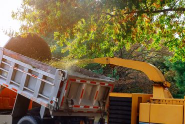 Kenwood Tree Service arborist using heavy-duty stump grinder on residential property in New Jersey