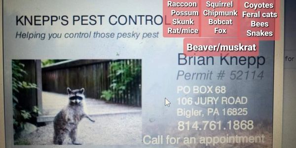 We make it our mission to take care of getting rid of all those unwanted pest .We take pride in work
