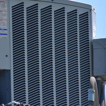 Image by F. Muhammad from Pixabay