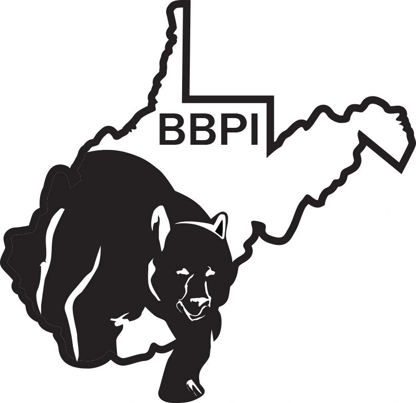 Black Bear - Home Inspections, Home Inspector, Professional ...