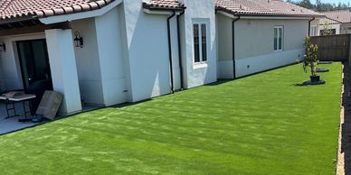 A well-maintained green lawn beside a modern house on a sunny day.