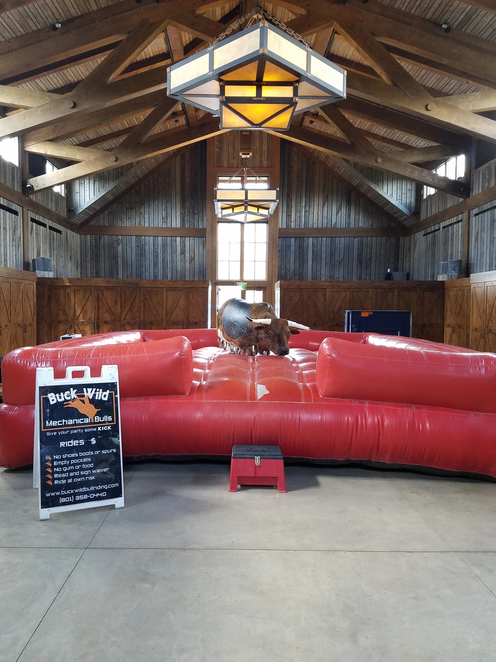 Buck Wild Mechanical Bulls