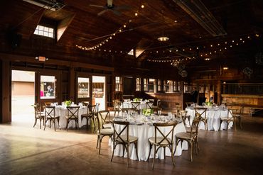 Asheville North Carolina Event and Concert Photographer