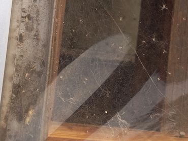 Compromised skylight allows for mold to grow from moisture intrusion and humidity on a warm day