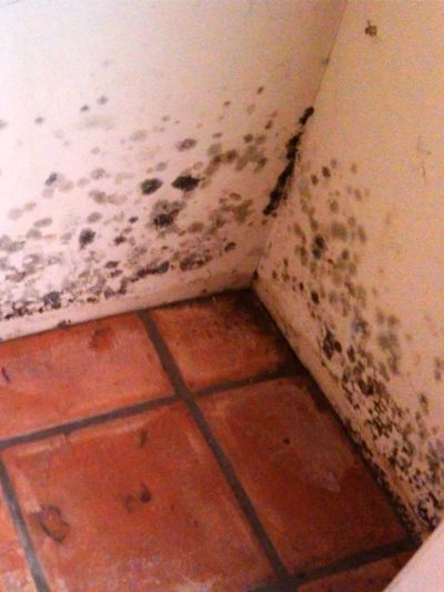 Water damage, mold growing, air quality testing Southern Oregon Rogue Valley, Medford, Grants Pass