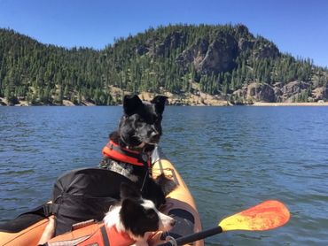 Star and Arry at Lake Como, MT