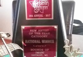 New Artist of the Year Award (TGMEA) 2017