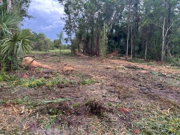 Land clearing project in Loxahatchee, Florida 5 acres tree clearing