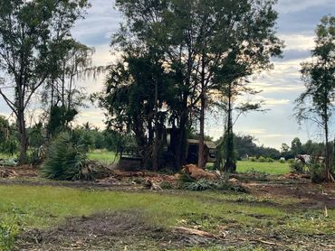 Land clearing project in Loxahatchee, Florida 5 acres tree clearing