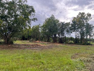 Land clearing project in Loxahatchee, Florida 5 acres tree clearing